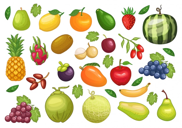 Stock vector set of fruits graphic object illustration Premium Vector