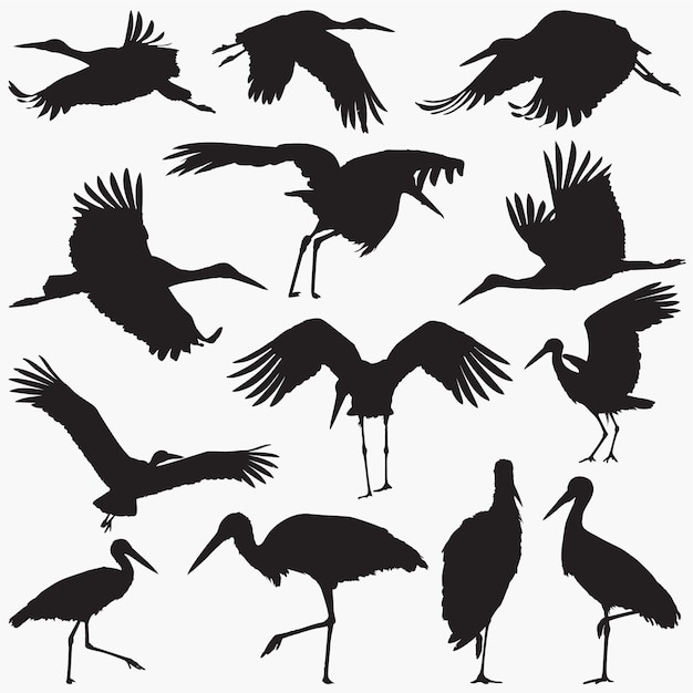 Premium Vector | Stork silhouette