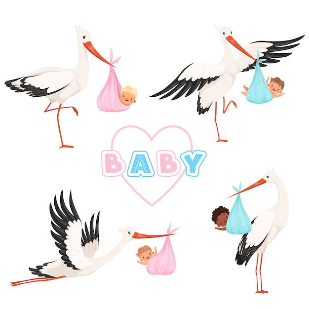 赤ちゃんとコウノトリ 新生児のおしゃぶりと小さな鳥漫画マスコット面白いポーズで飛んでいるかわいい鳥 プレミアムベクター