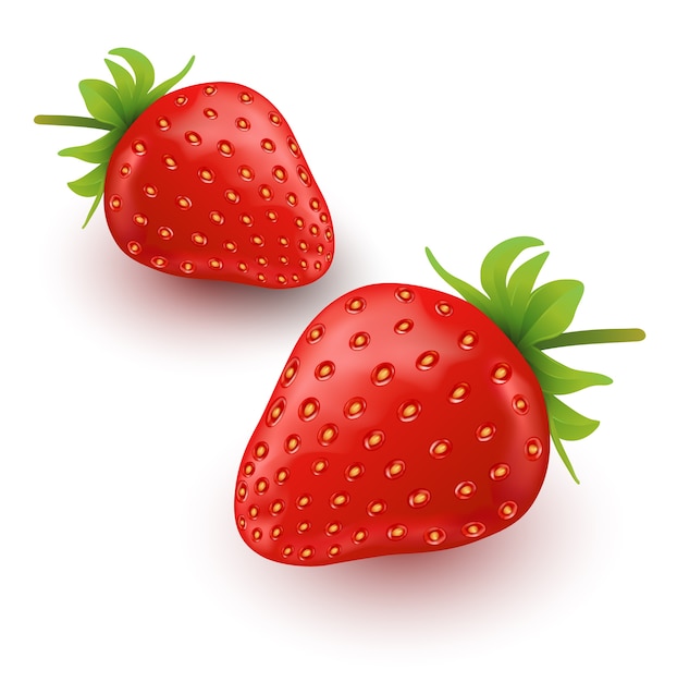 Premium Vector | Strawberry fruit illustrations