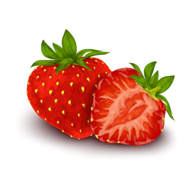 Strawberry isolated poster Vector | Free Download