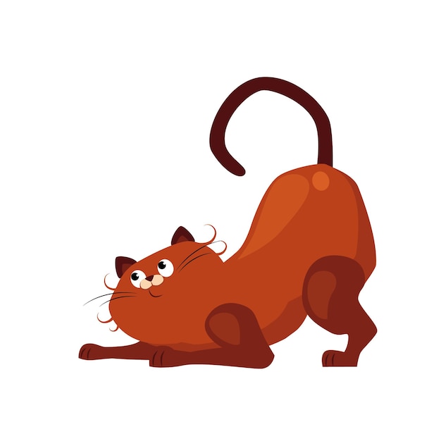 Premium Vector Stretching cat cute cat stretches in the morning