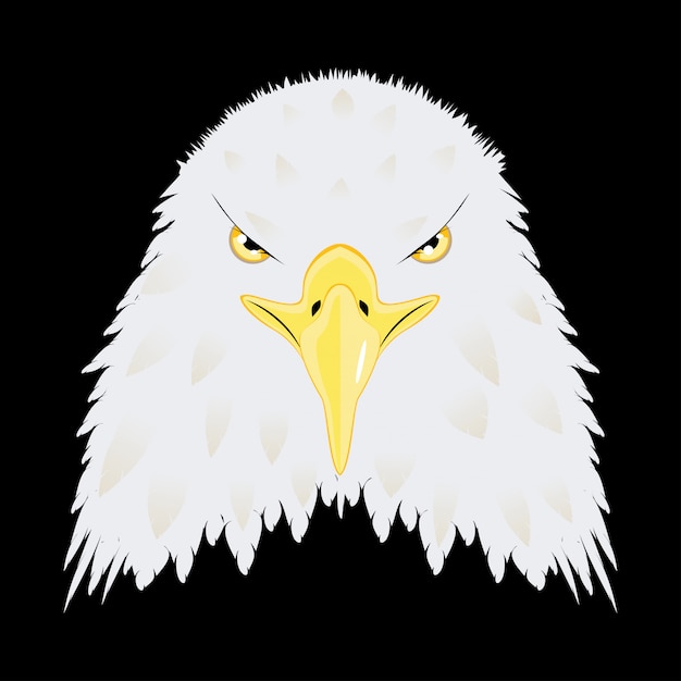 Premium Vector Stylized Bald Eagle Head