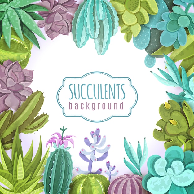 free download succulent illustration