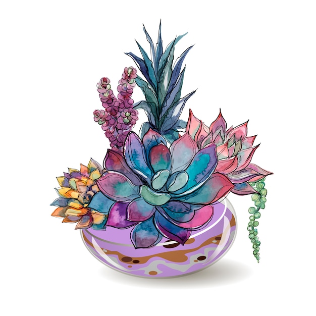 Download Succulents in glass aquariums. watercolor. | Premium Vector