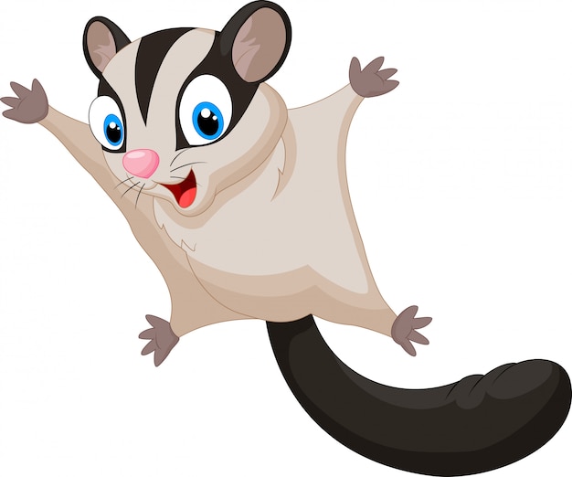 Sugar glider cartoon Vector | Premium Download