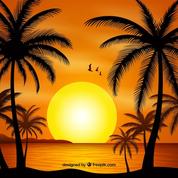 Summer backgroud with sunset and palm trees\
silhouette