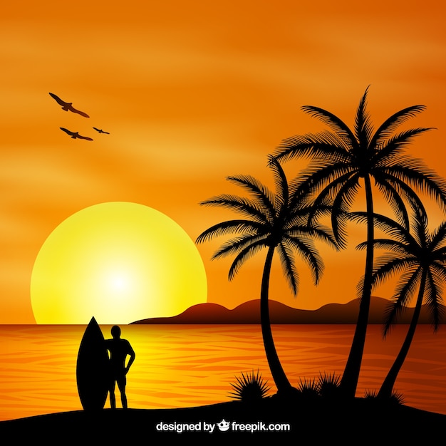 Summer backgroud with sunset and palm trees\
silhouette