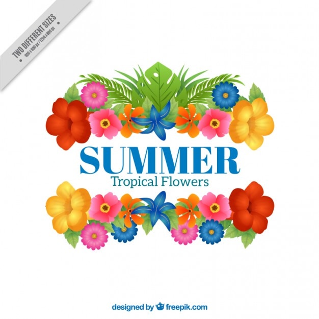 Summer background with exotic flowers