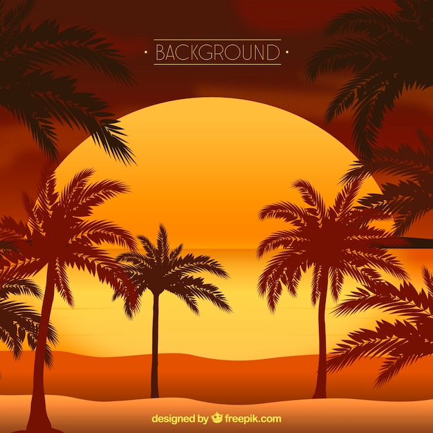 Summer background with sunset and palm\
trees