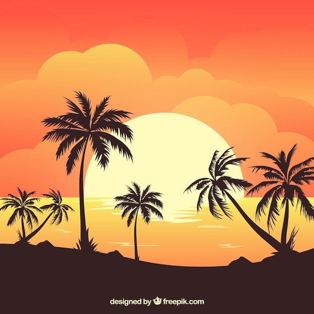Free Vector | Summer background with sunset and palm trees