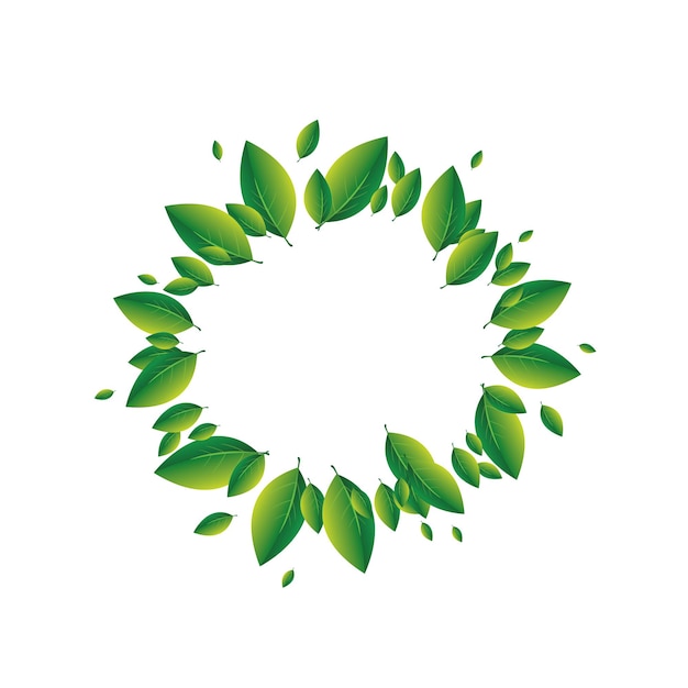 Premium Vector | Summer concept of green leaves on a white background ...