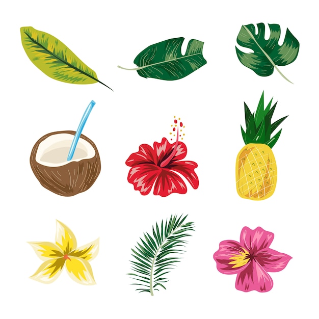 Download Premium Vector | Summer tropical leaf,pineapple,flower,coconut summer elements vector.