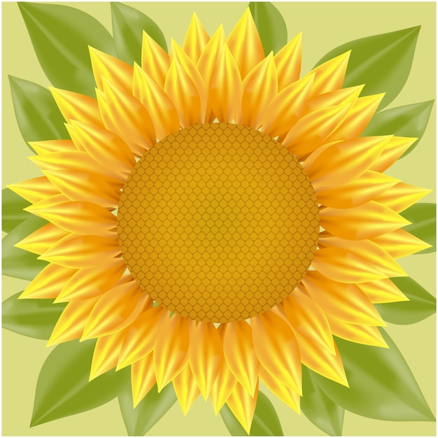 Sunflower background design