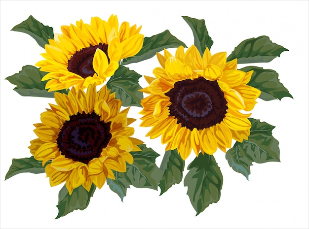 Download Sunflower bouquet | Premium Vector