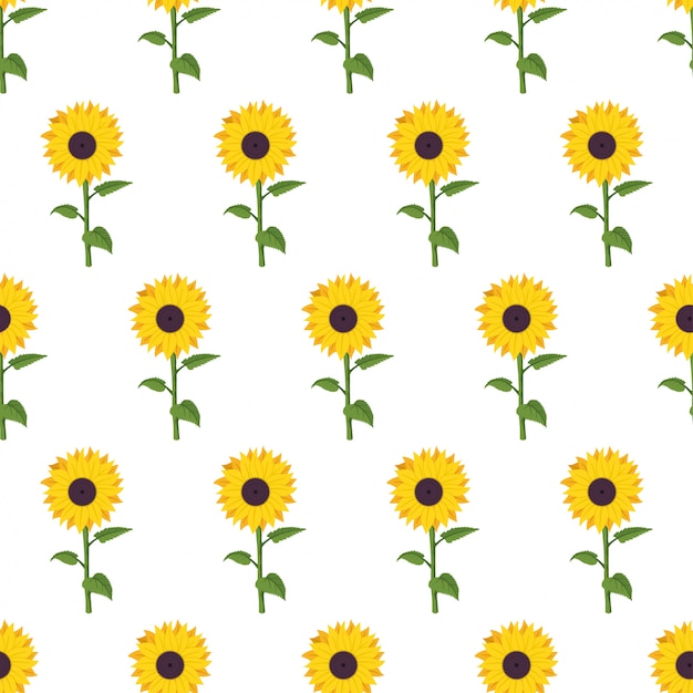 Download Sunflower cartoon seamless pattern on white background ...
