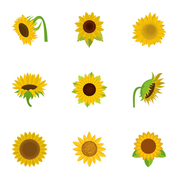 Download Vector Sunflower Logo Png PSD - Free PSD Mockup Templates