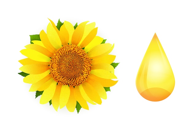 Download Free Sunflower Oil On White Background Premium Vector Use our free logo maker to create a logo and build your brand. Put your logo on business cards, promotional products, or your website for brand visibility.
