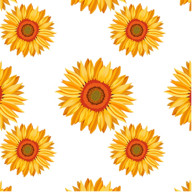 Download Sunflower Vectors | Free Vector Graphics | Everypixel