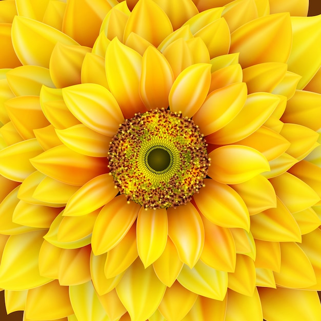 Free Free Realistic Sunflower Svg Free 486 SVG PNG EPS DXF File