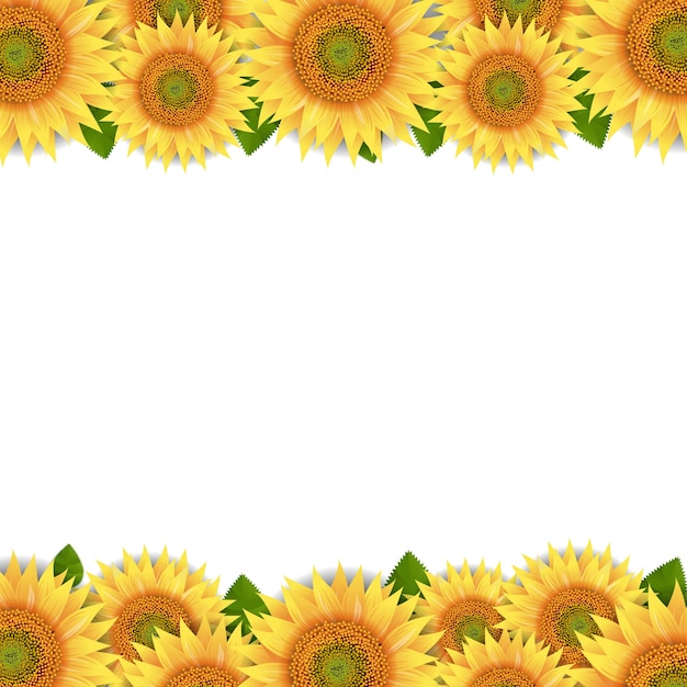 Free Sunflower Border Svg - 87+ SVG Images File