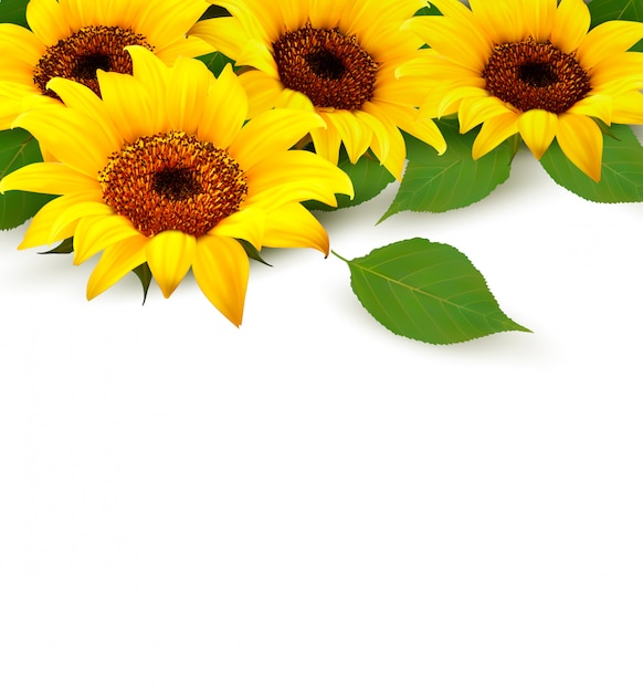 Free Free 266 Sunflower Leaves Svg SVG PNG EPS DXF File