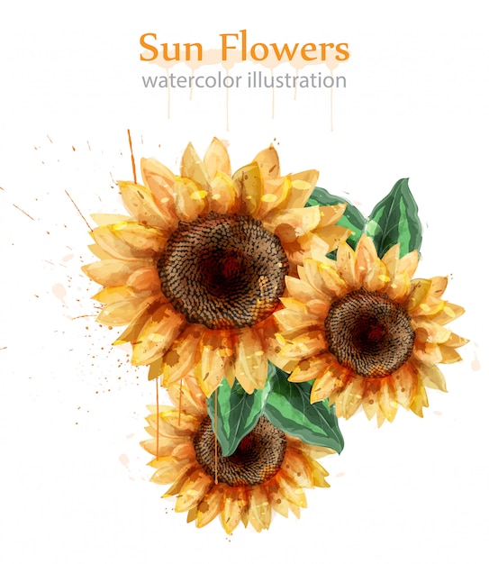 Download Sunflowers watercolor floral decor | Premium Vector