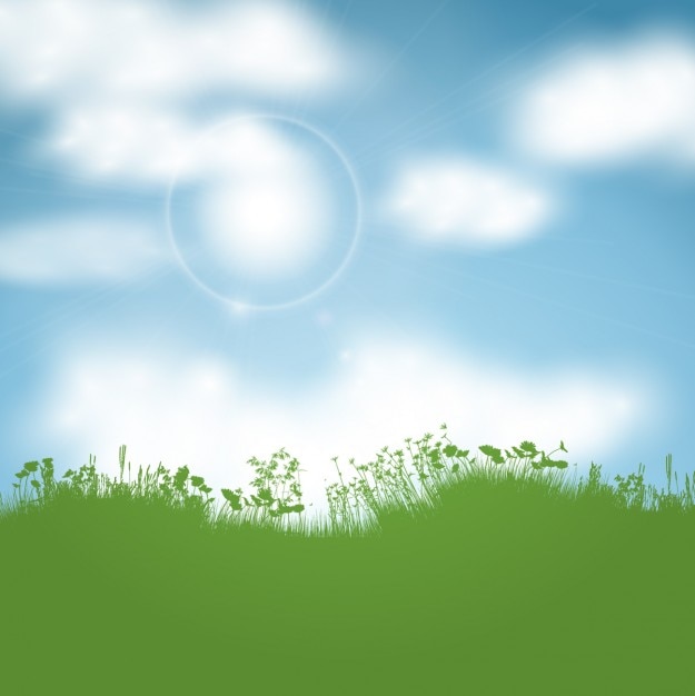 Sunny landscape with green grass
