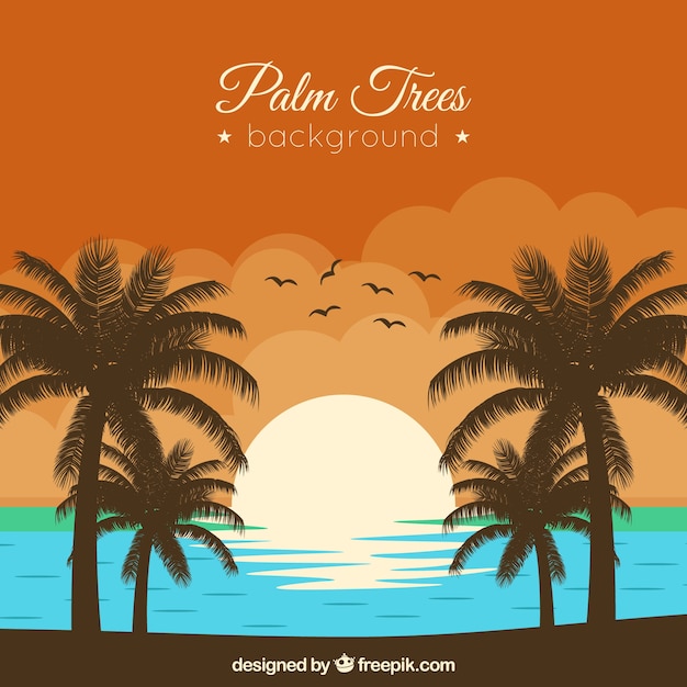 Sunset background on the beach with palm\
trees