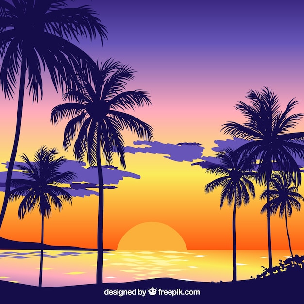 Sunset background on the beach with palm
trees