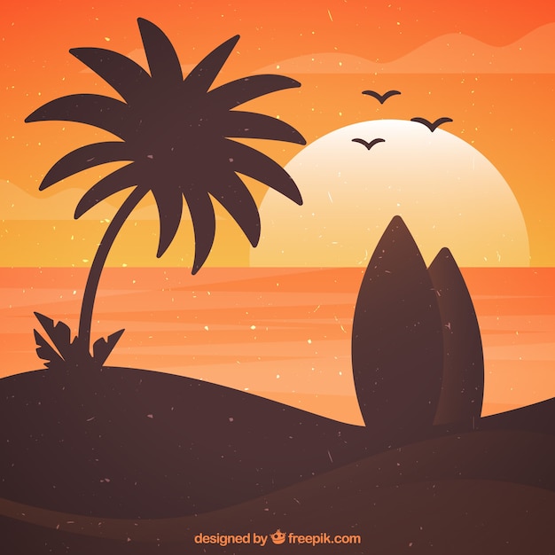 Sunset background on the beach with surf
boards