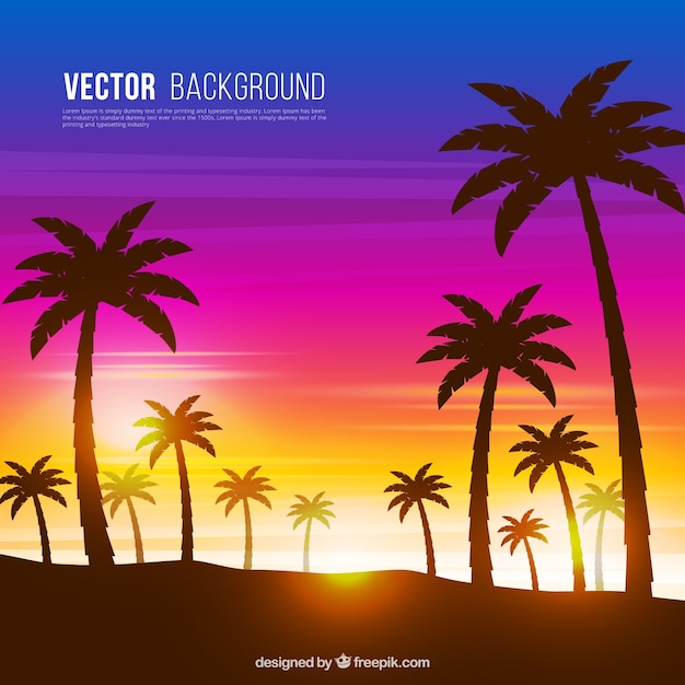 Sunset background with palm tree\
silhouettes