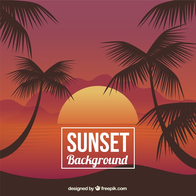 Sunset background with palm trees