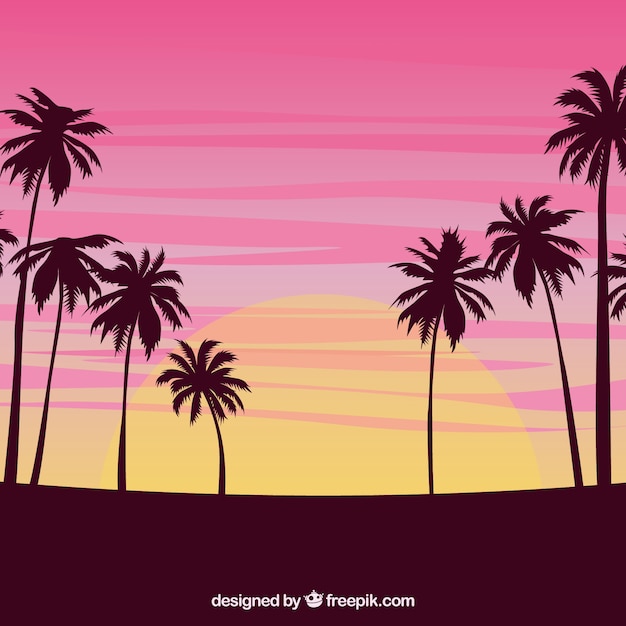 Sunset background with palm trees