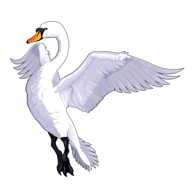 Free Vector | Swan cartoon