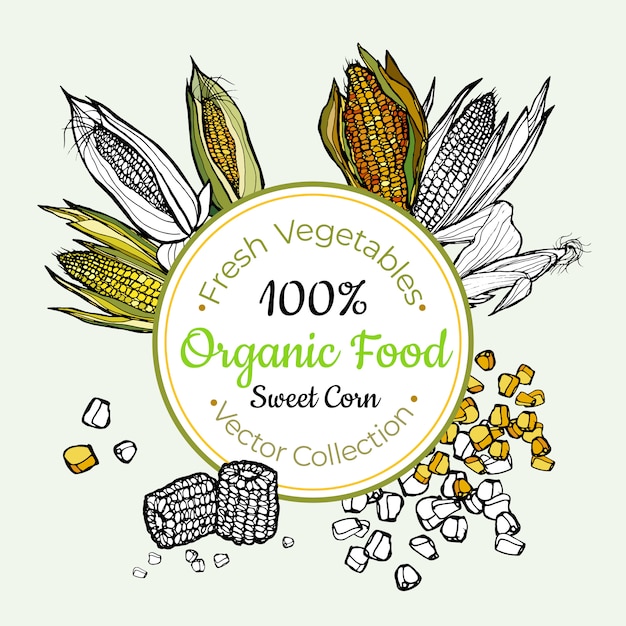 Sweet corn vegetable groceries vintage label Premium Vector