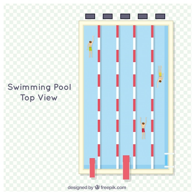 Swimming competition in a top view