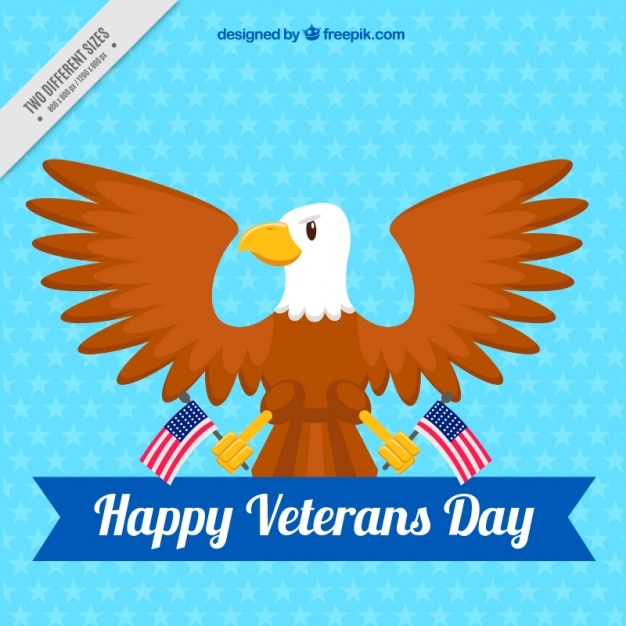 Symbolic celestial background of veterans
day