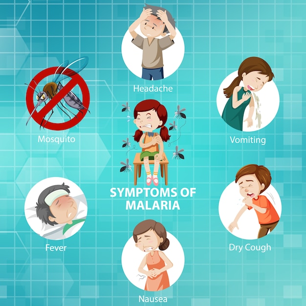 Free Vector | Symptoms of malaria cartoon style infographic