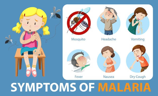 Symptoms of malaria cartoon style infographic Free Vector