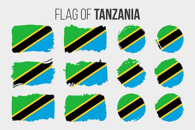 Premium Vector Tanzania Flag Illustration Brush Stroke And Grunge Flags Of Tanzania Isolated 