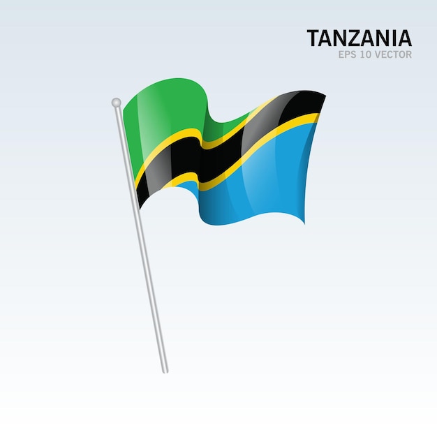 Premium Vector Tanzania Waving Flag Isolated On Gray