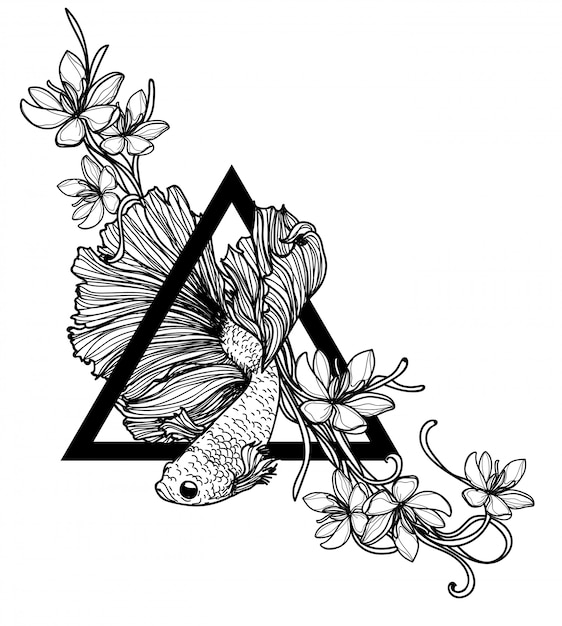 Premium Vector Tattoo Art Siamese Fighting Fish Hand Drawing And Sketch Black And White