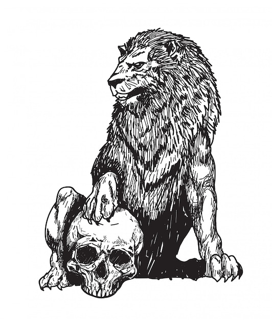 Premium Vector | Tattoo lion and skull hand drawing sketch isolated