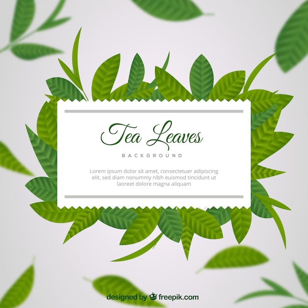Tea leaves background in realistic style