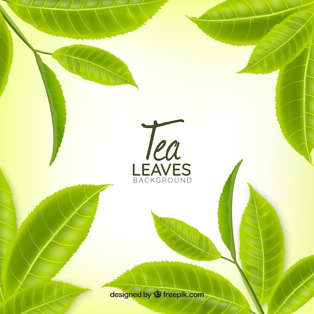 Tea leaves background in realistic style