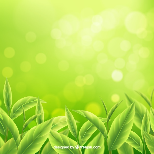 tea background