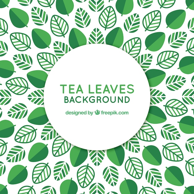 Tea leaves background with plants