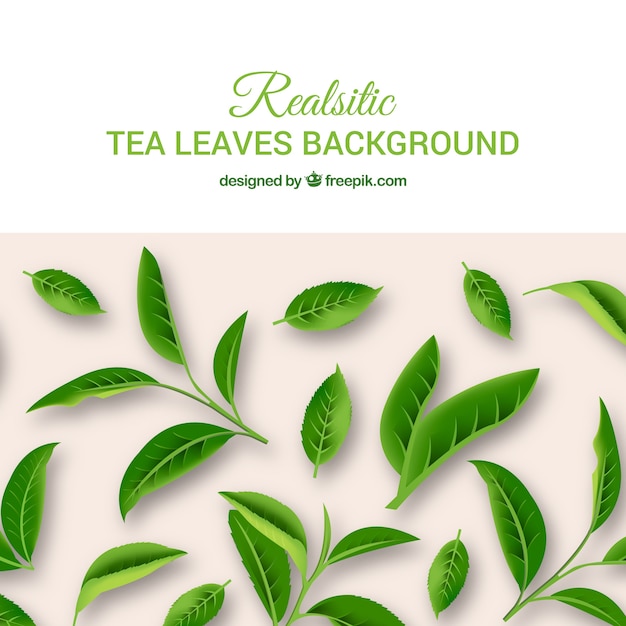 tea leaves background with plants vector free download