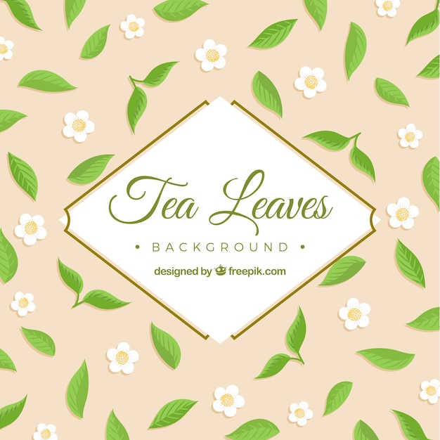Tea leaves background with vegetation